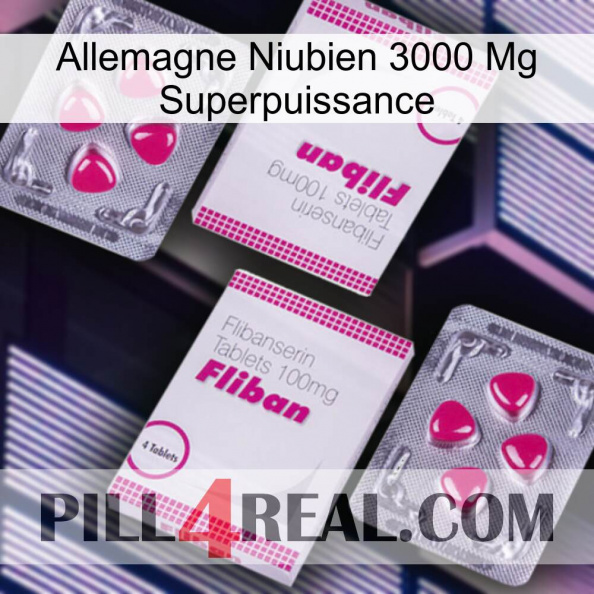 Germany Niubian 3000 Mg Superpower 33.jpg